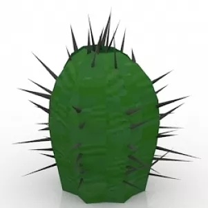 Cactus Euphorbia Ferrox 3d model Cactus Euphorbia Ferrox 3d model