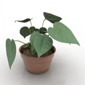 Plant 3d model