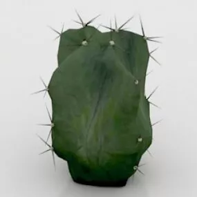 Cactus Lemairiocereus Pruinosus 3d model