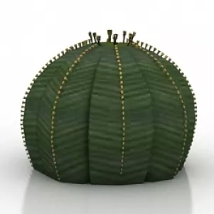 Plant Euohirbia Obesa 3d model Plant Euohirbia Obesa 3d model