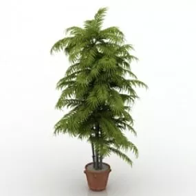 Plant 3d model
