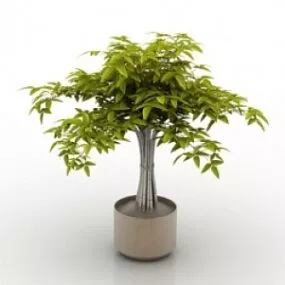Plant 3d model