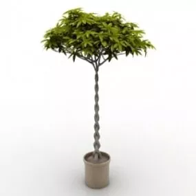 Plant 2 3d model