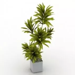 Palm 3d model