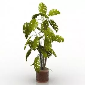 Plant 3d model