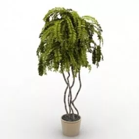 Plant 3d model