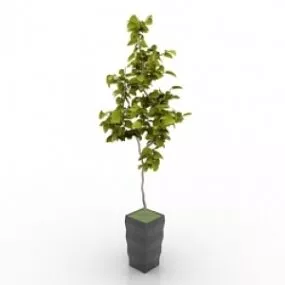 Flower 3d model