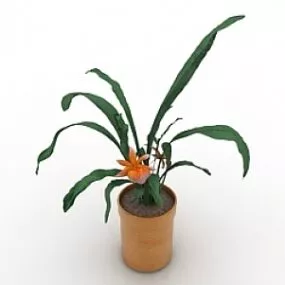 Flower 3d model