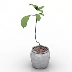 Flower 3d model