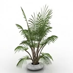 Palm 3d model