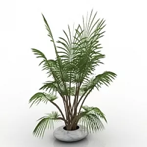 Small Palm In Ceramic Pot 3d model