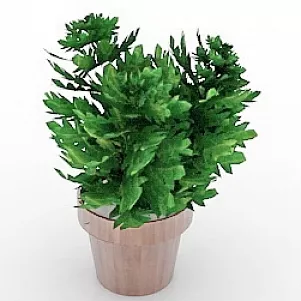 Flower 3d model Flower 3d model