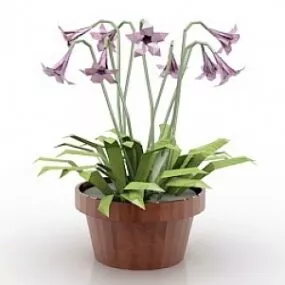 Flower 2 3d model
