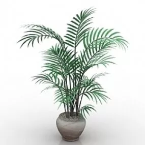 Palm 3d model
