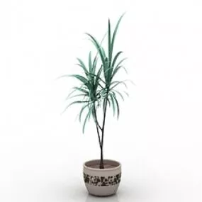 Palm 3d model