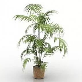 Palm 3d model