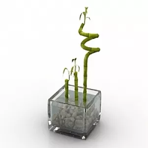 Bamboo 3d model Bamboo 3d model