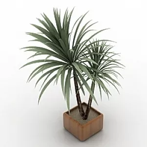 Palm 3d model Palm 3d model
