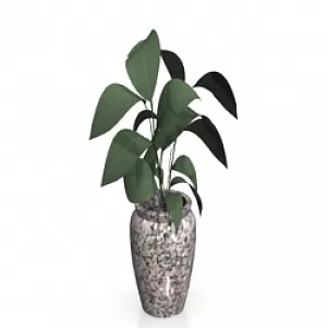 Plant 3d model Plant 3d model
