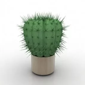 Cactus 3d model