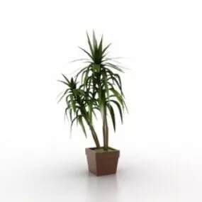 Plant 3d model