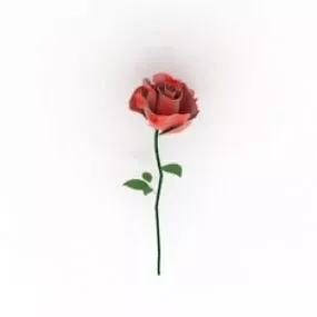 Rose 3d model