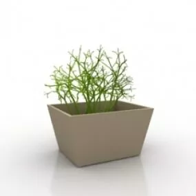 Plant 3d model