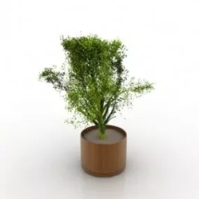 Plant 3d model