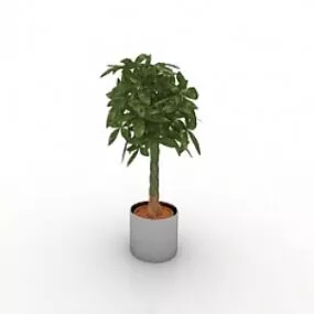 Plant 3d model