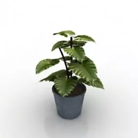 Plant 3d model