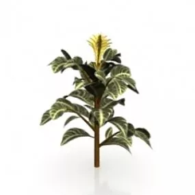 Plant 3d model