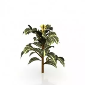 Plant 3d model