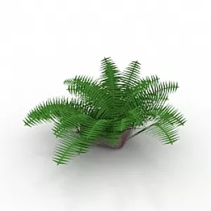 Fern 3d model Fern 3d model