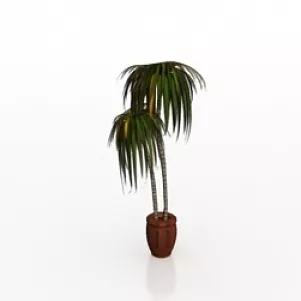 Plant 3d model Plant 3d model
