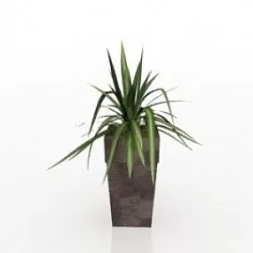 Plant 3d model