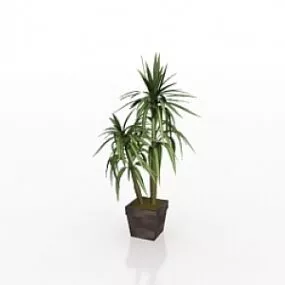Plant 3d model