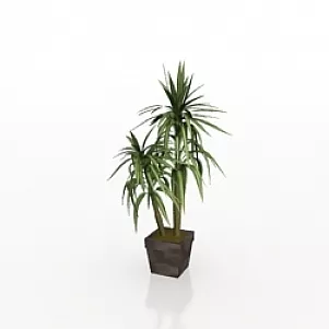 Plant 3d model Plant 3d model