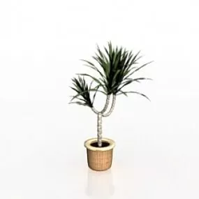 Plant 3d model