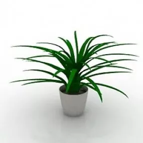 Plant 2 3d model
