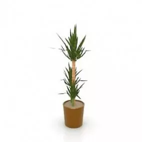 Palm 3d model