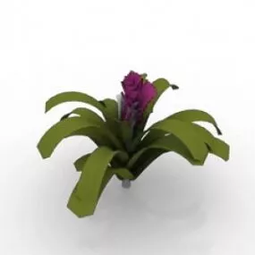 Guzmania 2 3d model