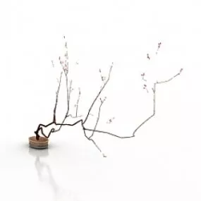 Spring 3d model