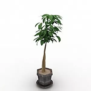 Plant 3d model Plant 3d model