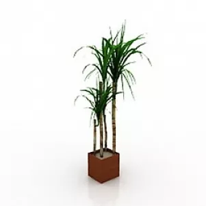 Palm 3x- For Interior 3d. 3d model Palm 3x- For Interior 3d. 3d model