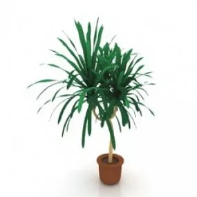 Palm 3d model