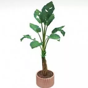 Palm 3d model