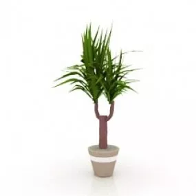 Yucca 3d model