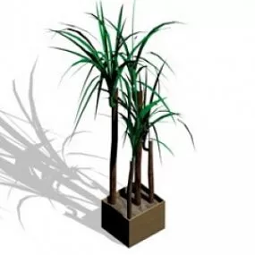 Palma 3d model