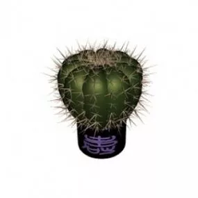 Cactus 3d model