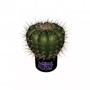 Cactus 3d model Cactus 3d model